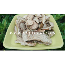 A Grade Wild Boletus Edulis / Fresh Porcini Mushroom
